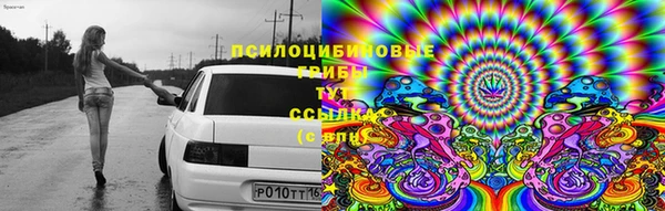 ПСИЛОЦИБИНОВЫЕ ГРИБЫ Нязепетровск