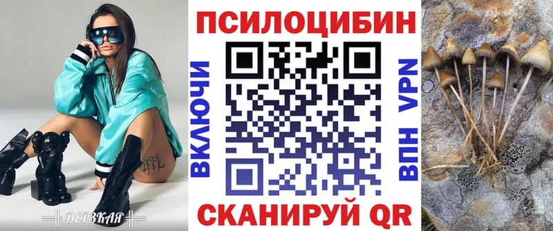 сколько стоит  ссылка на мегу сайт  Псилоцибиновые грибы мицелий  Зерноград 